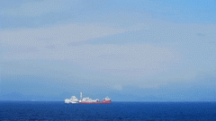 对国际绿色商业壁垒